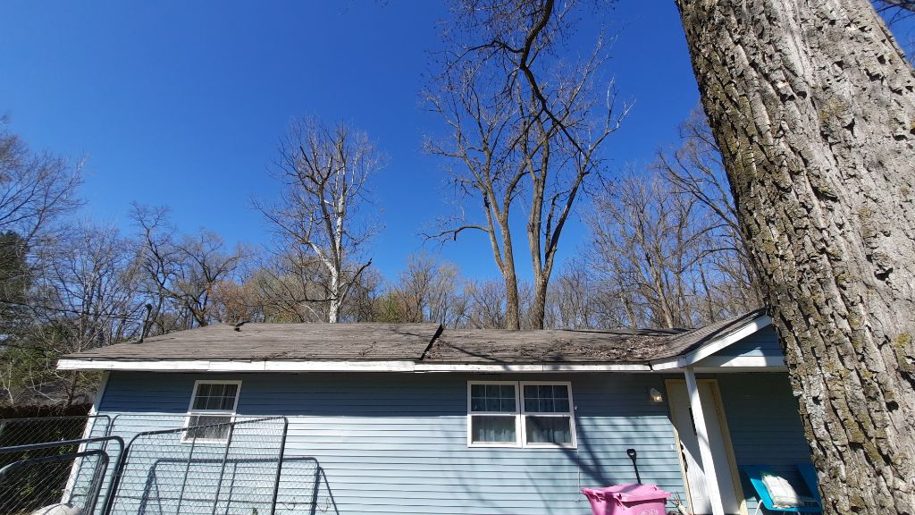 Roof cleaning south lafayette in