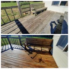 Deck Soft Washing 2